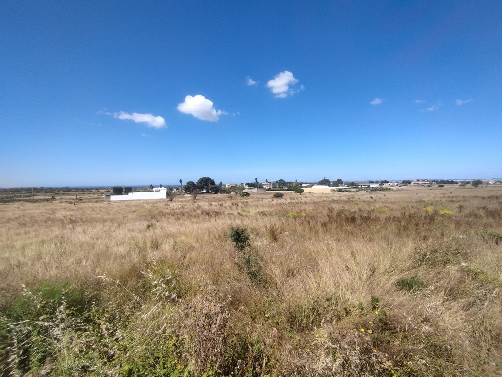 Giano Group Immobiliare